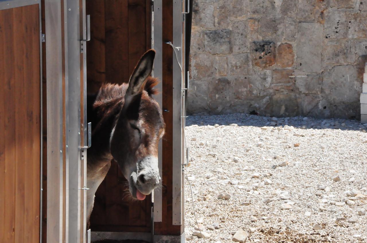 Masseria Le Terrazze Di Serranova Eksteriør billede