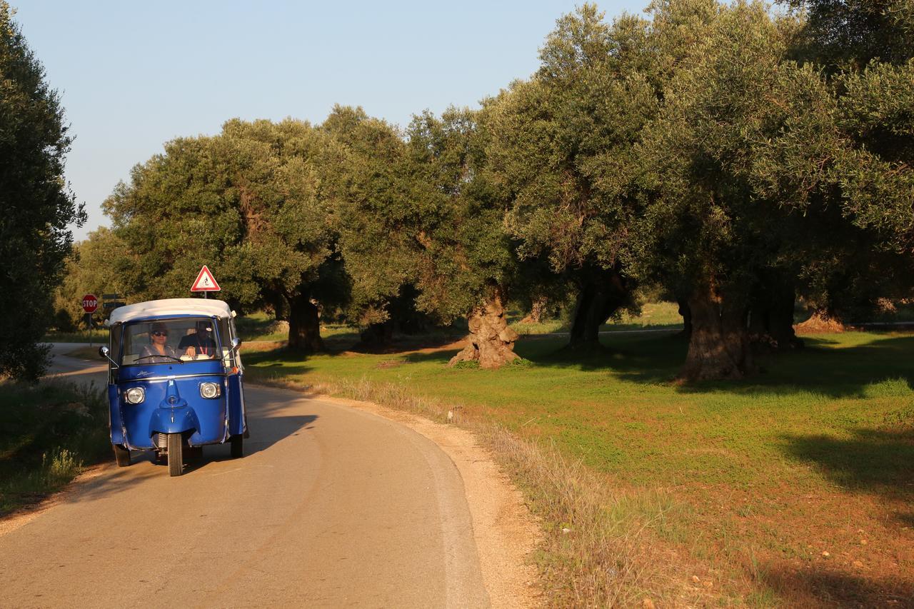 Masseria Le Terrazze Di Serranova Eksteriør billede