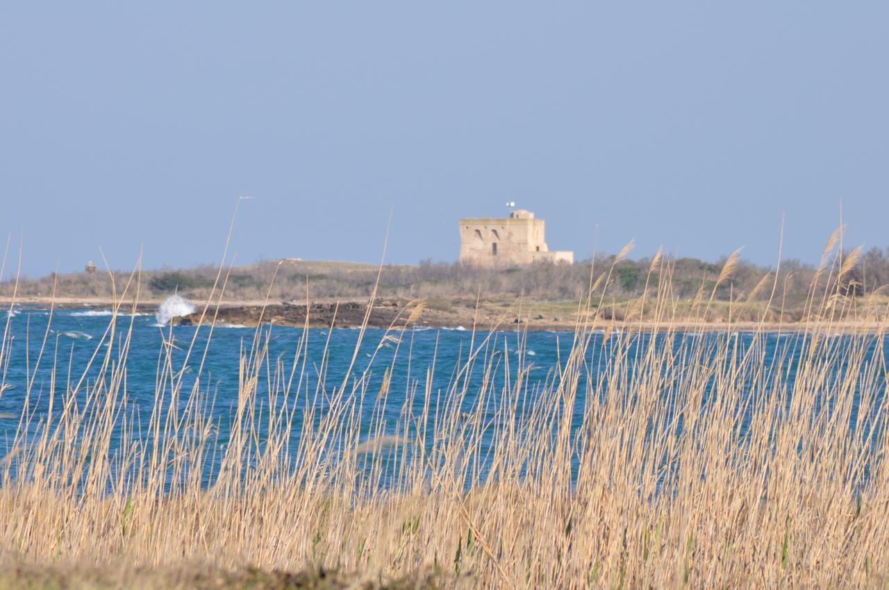 Masseria Le Terrazze Di Serranova Eksteriør billede